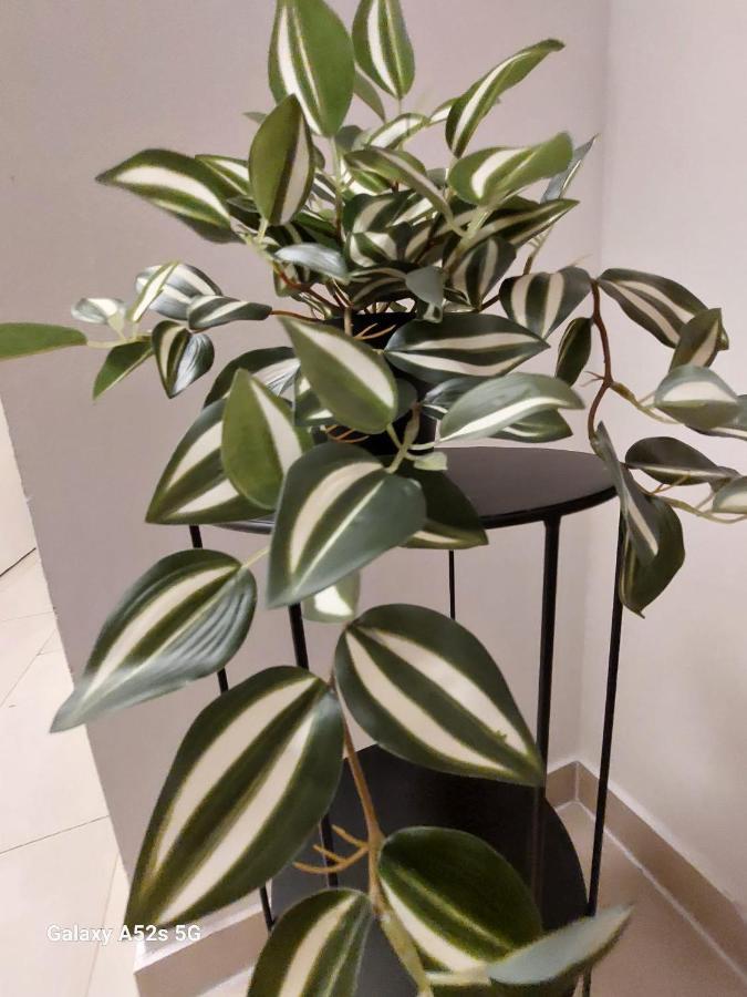 Appartement Am Uni Park Koeln Suelz מראה חיצוני תמונה